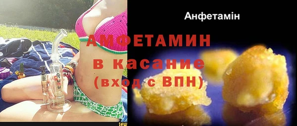 ПСИЛОЦИБИНОВЫЕ ГРИБЫ Вяземский